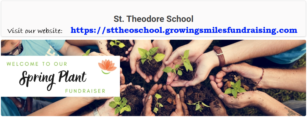 sttheoschool.growingsmilesfundraising.com